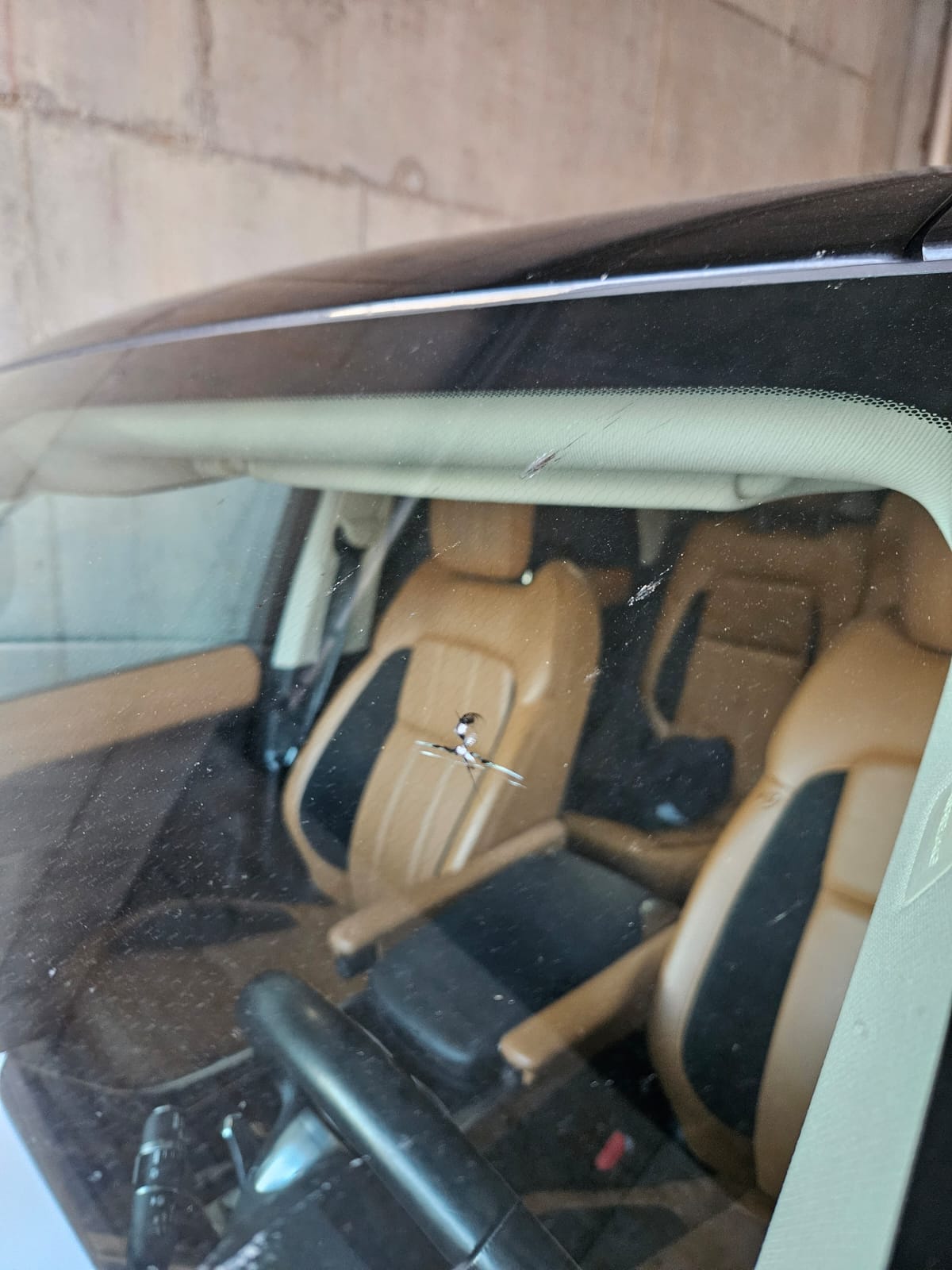 Steinschlag Reparatur Carrosserie Fricktal Oeschgen - Glasschaden Windschutzscheibe